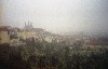 1461-33.JPG