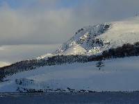 DSCF3165a.JPG