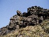 P4140043.JPG